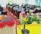 Cuộc thi trạng nguyên toàn tài 